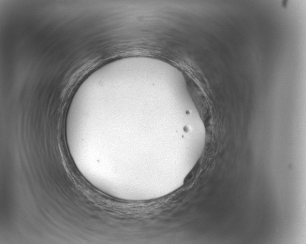 X0000077990001200611171806