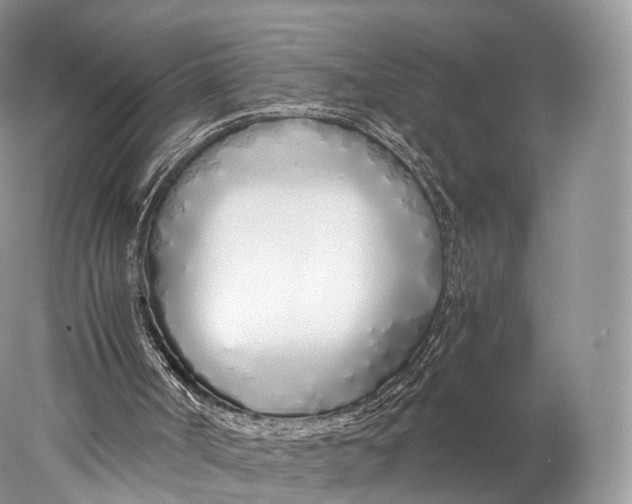 X0000077990002200611171806