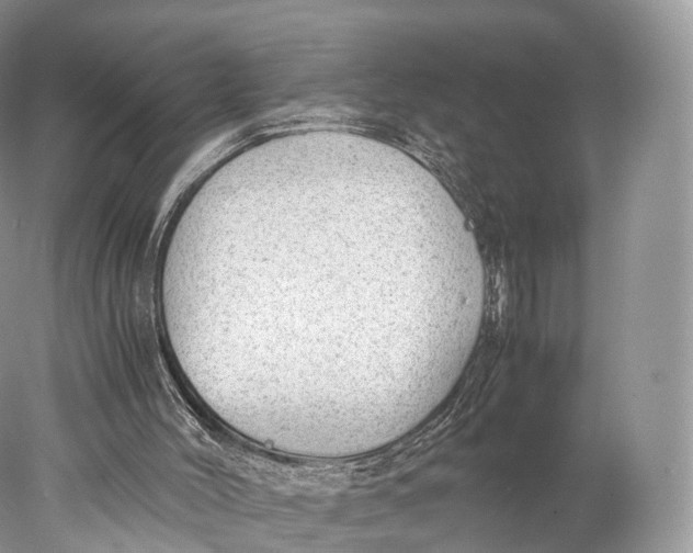 X0000077990004200611171806