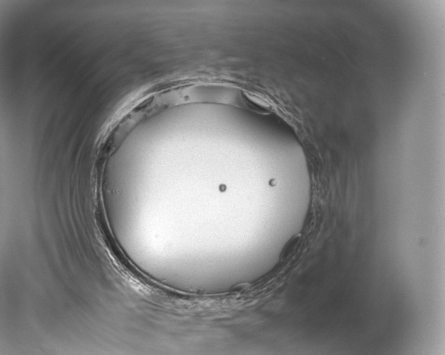 X0000077990005200611171806