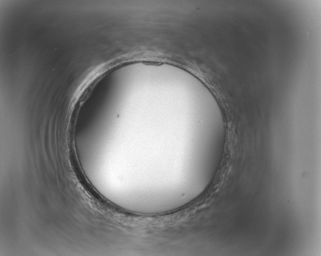 X0000077990007200611171806