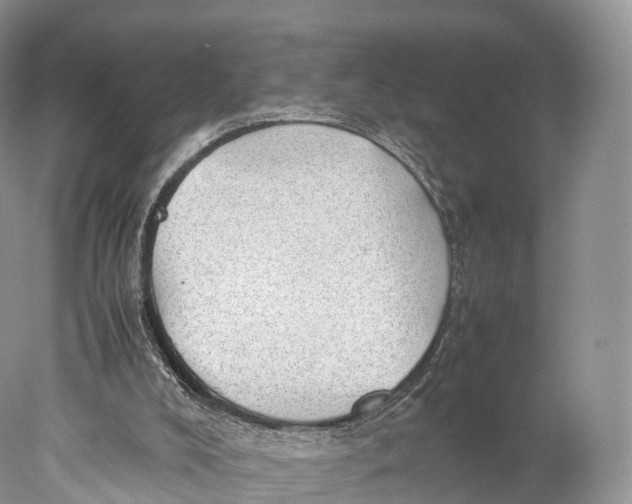 X0000077990008200611171806