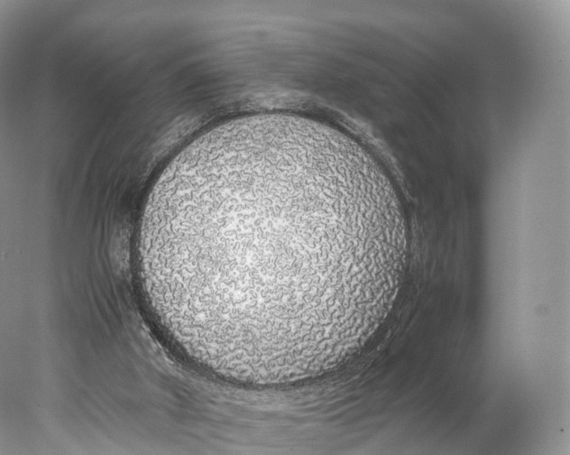 X0000077990010200611171806