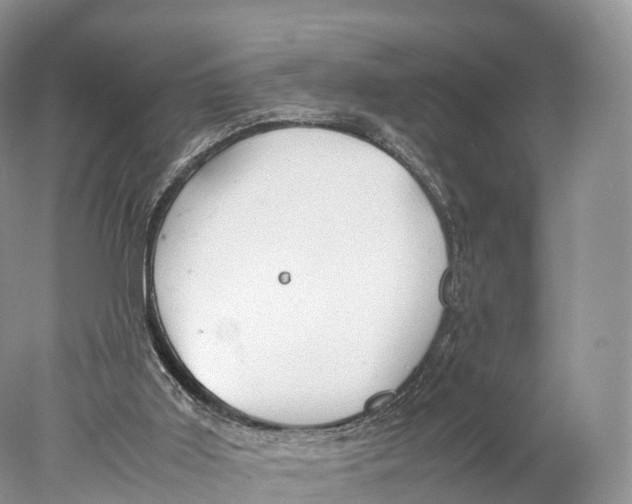 X0000077990011200611171806