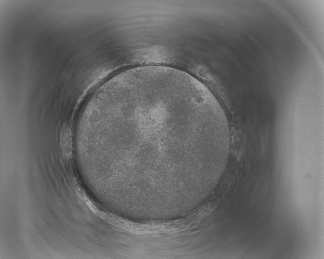 X0000077990012200611171806