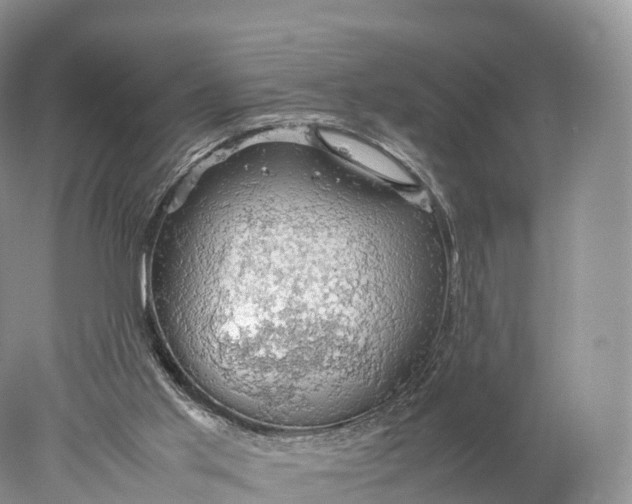 X0000077990013200611171806