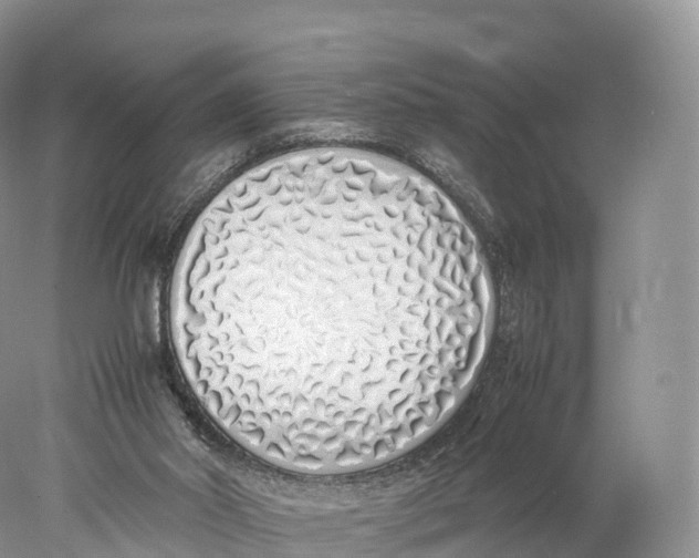 X0000077990014200611171806