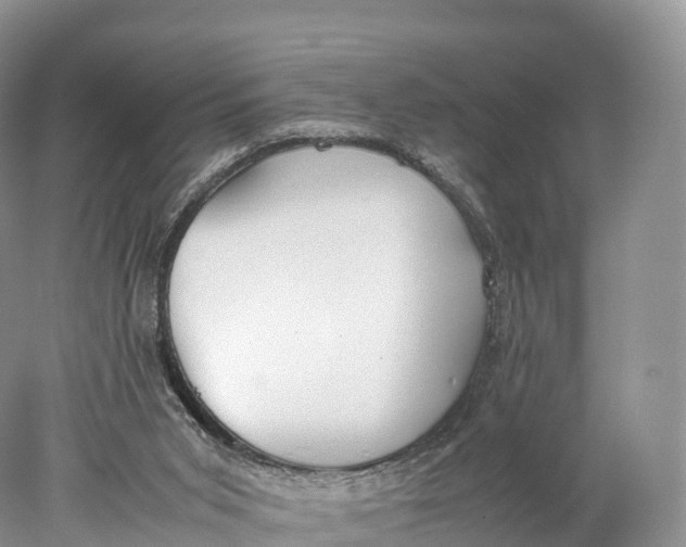 X0000077990015200611171806