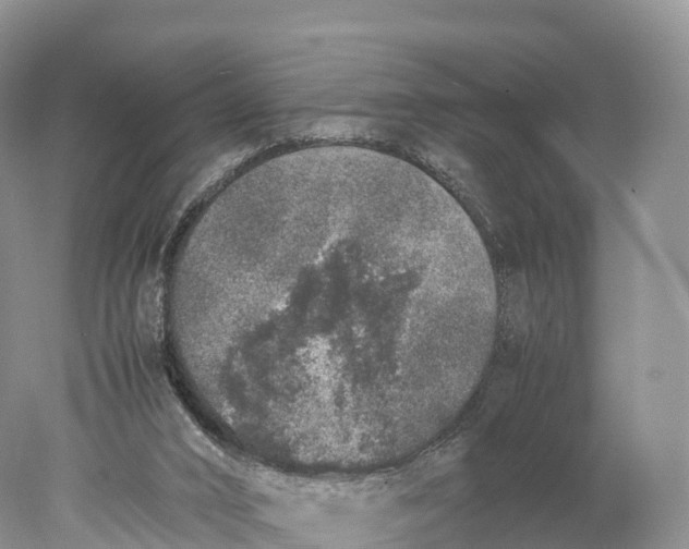 X0000077990016200611171806