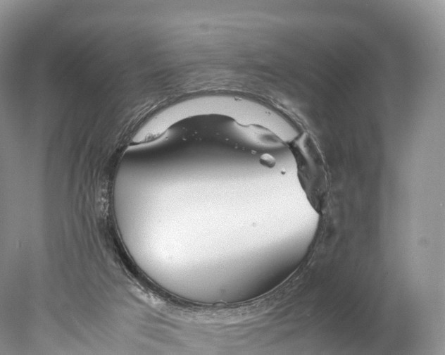 X0000077990017200611171806