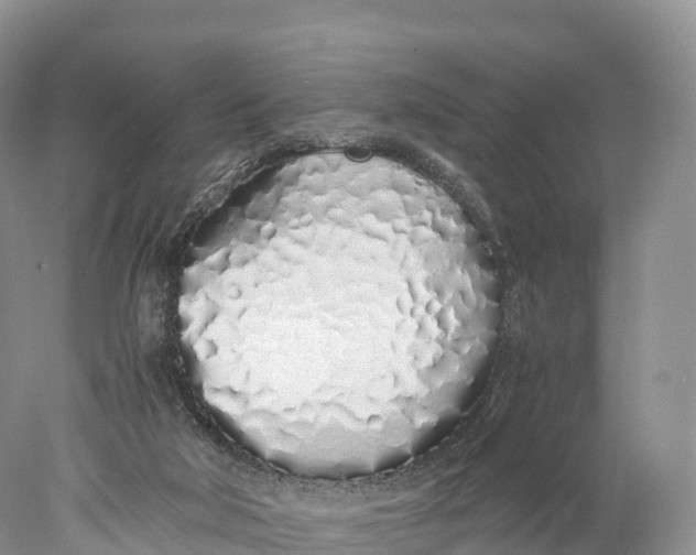 X0000077990018200611171806