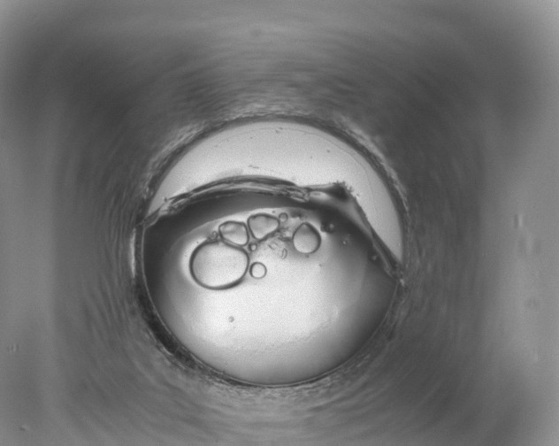 X0000077990019200611171806