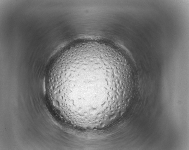 X0000077990020200611171806