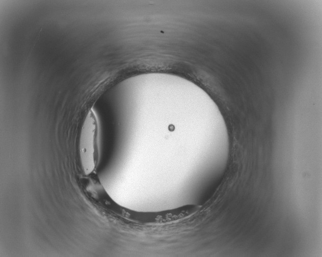 X0000077990021200611171806