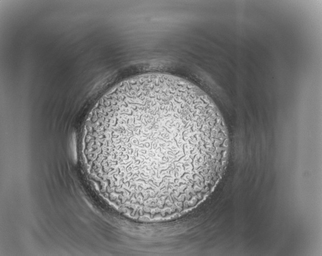 X0000077990022200611171806