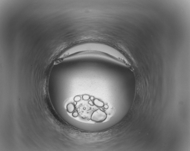 X0000077990023200611171806