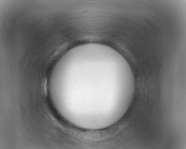 X0000077990024200611171806