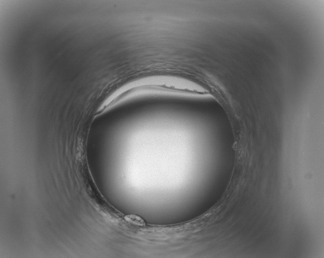 X0000077990025200611171806