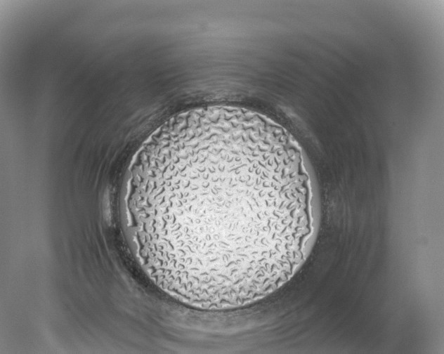 X0000077990026200611171806