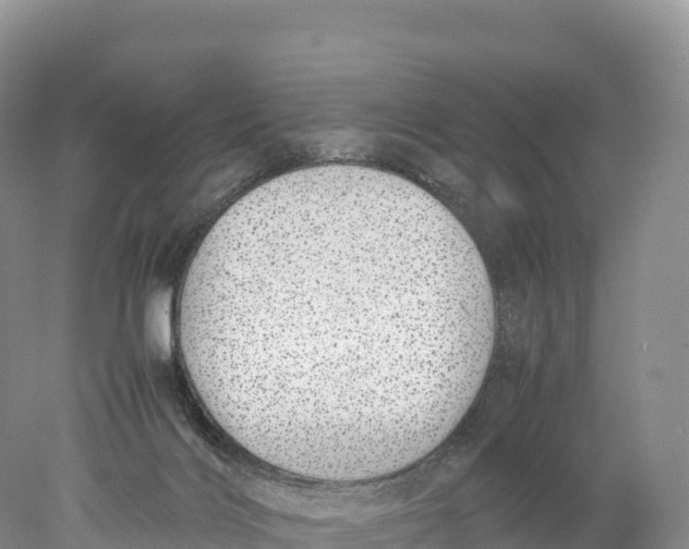 X0000077990028200611171806