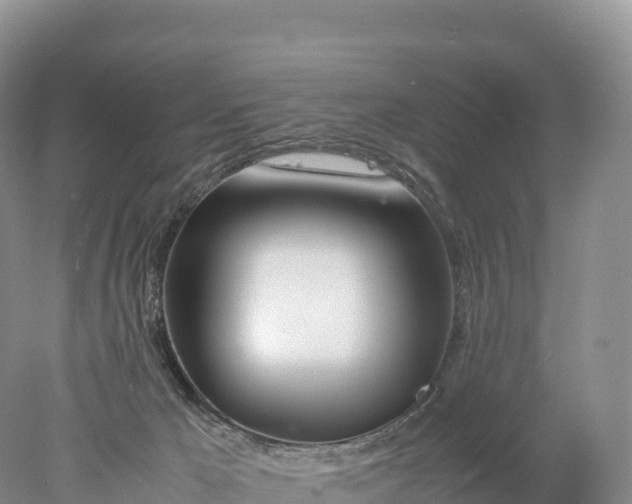 X0000077990029200611171806