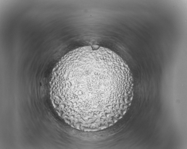 X0000077990030200611171806