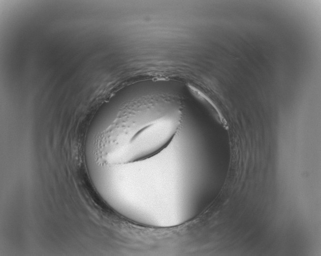 X0000077990031200611171806