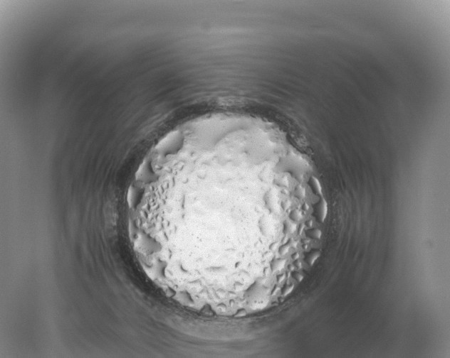 X0000077990032200611171806