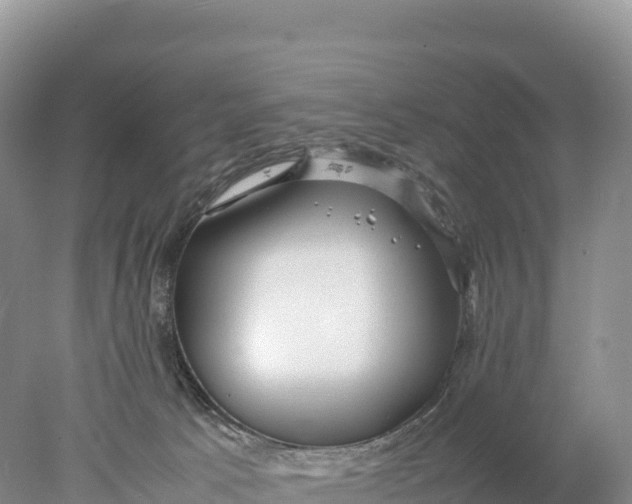 X0000077990033200611171806