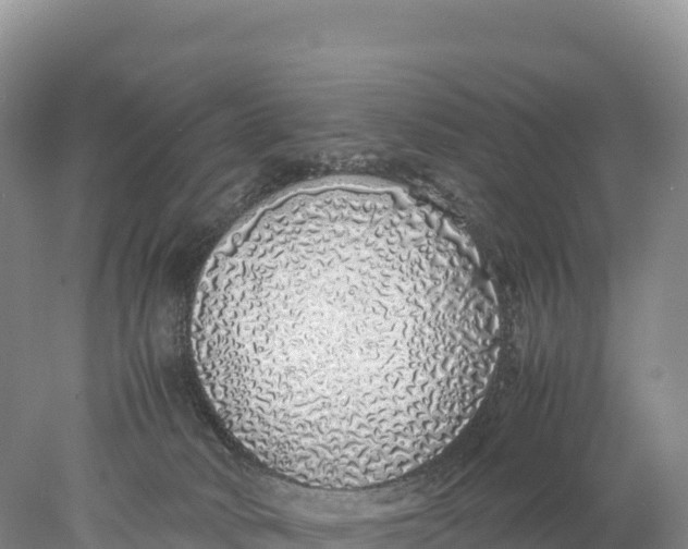 X0000077990034200611171806