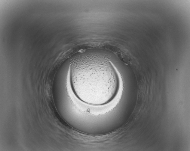 X0000077990035200611171806