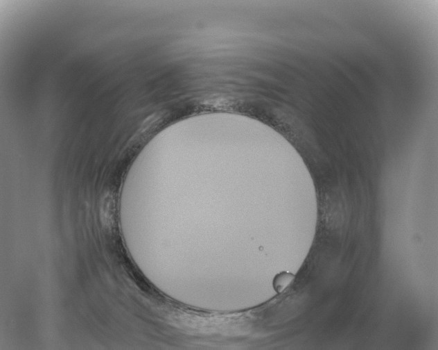 X0000077990036200611171806