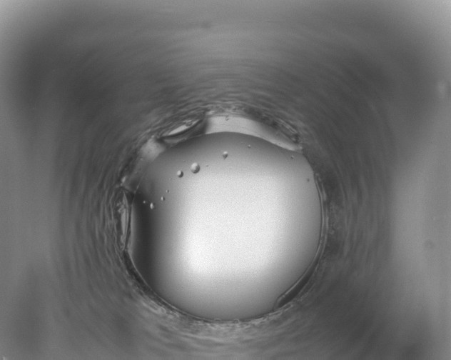 X0000077990037200611171806