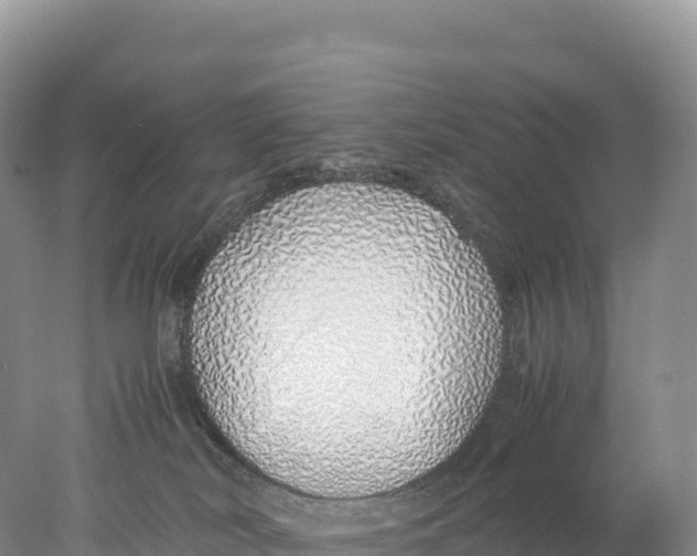 X0000077990038200611171806