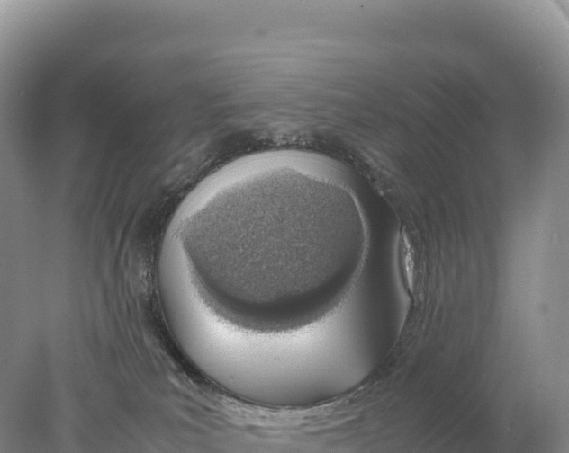 X0000077990039200611171806