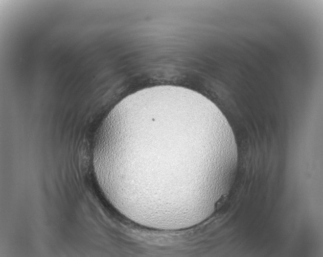 X0000077990040200611171806