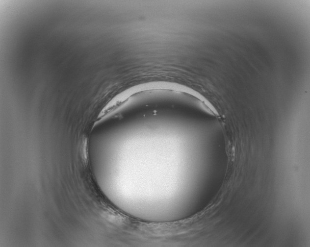 X0000077990041200611171806