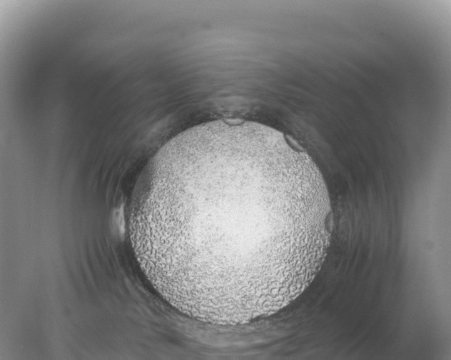 X0000077990042200611171806