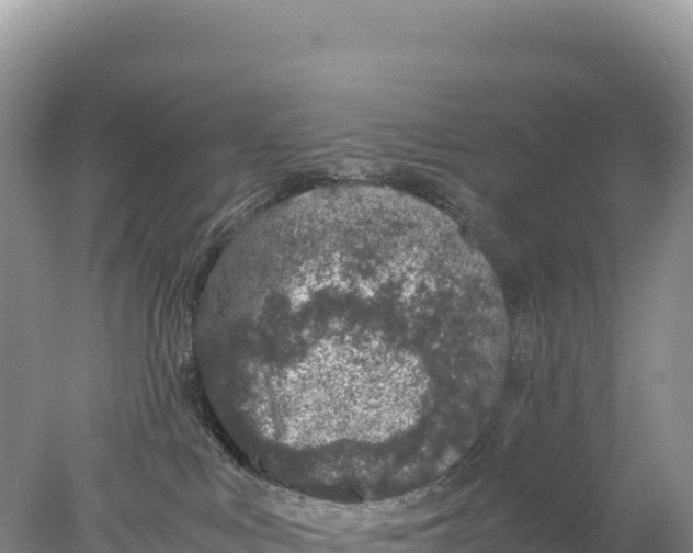 X0000077990043200611171806