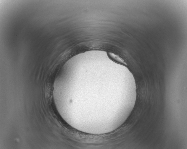 X0000077990044200611171806