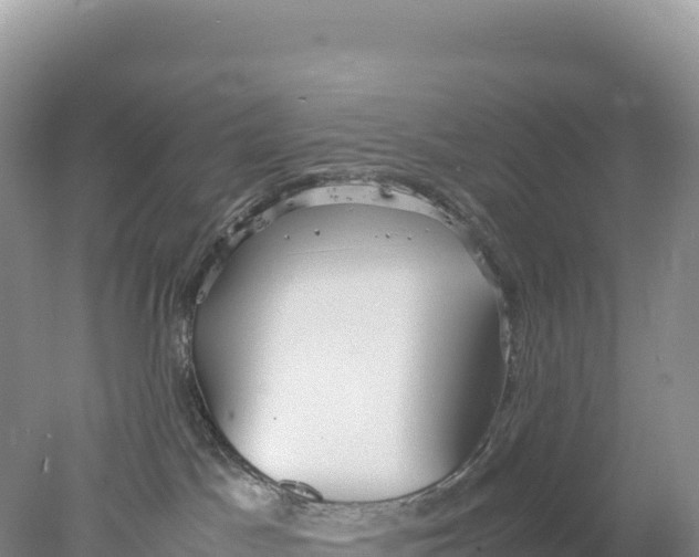 X0000077990045200611171806