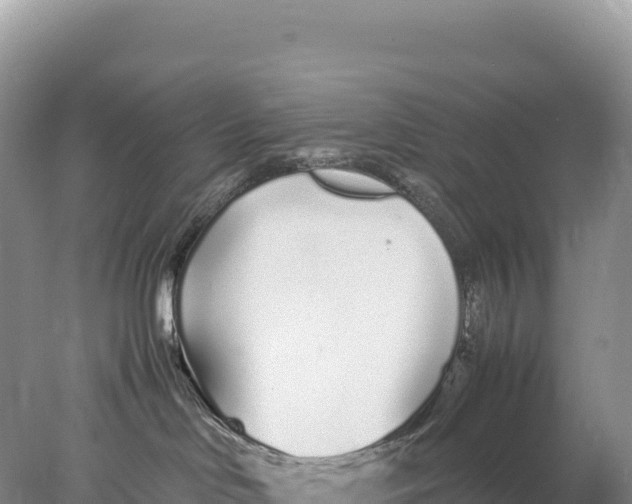 X0000077990046200611171806