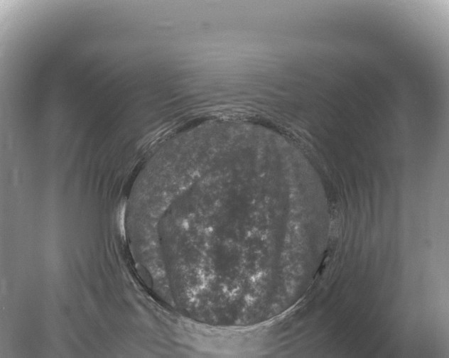 X0000077990047200611171806