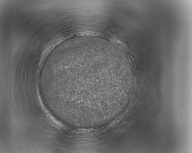 X0000077990049200611171805