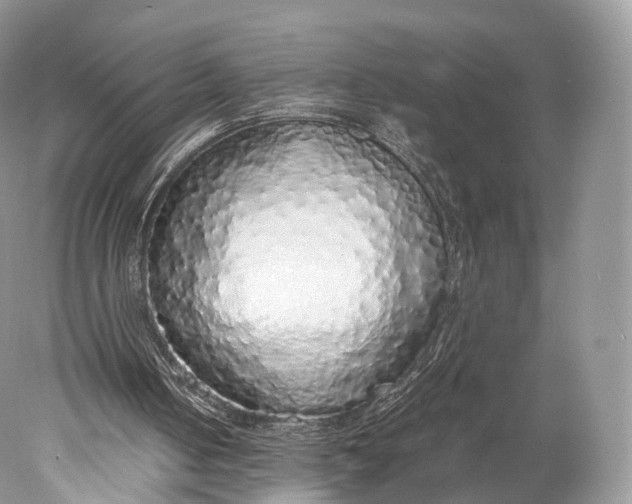 X0000077990050200611171805