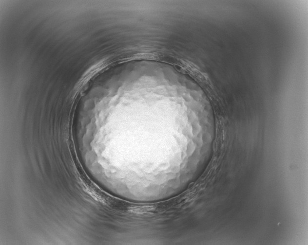 X0000077990051200611171805