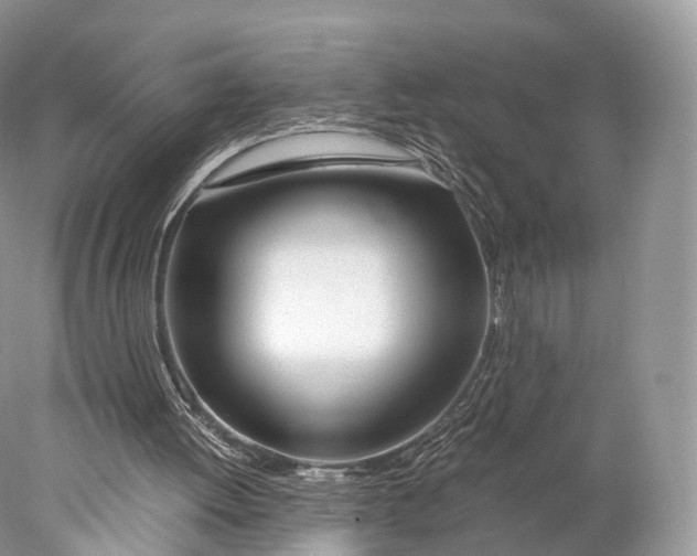 X0000077990052200611171805