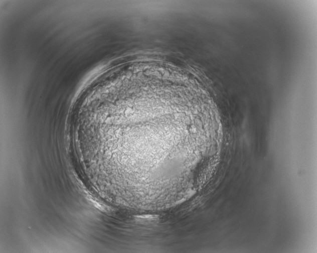 X0000077990053200611171805