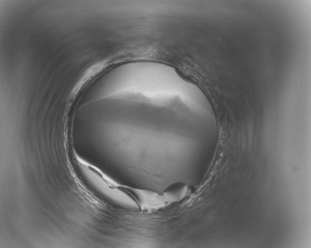 X0000077990054200611171805