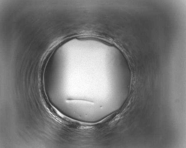 X0000077990055200611171805